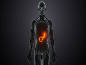 How These Foods Can Fuel Your Metabolism Naturally?