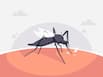Dengue: Risks And Actions To Prevent It