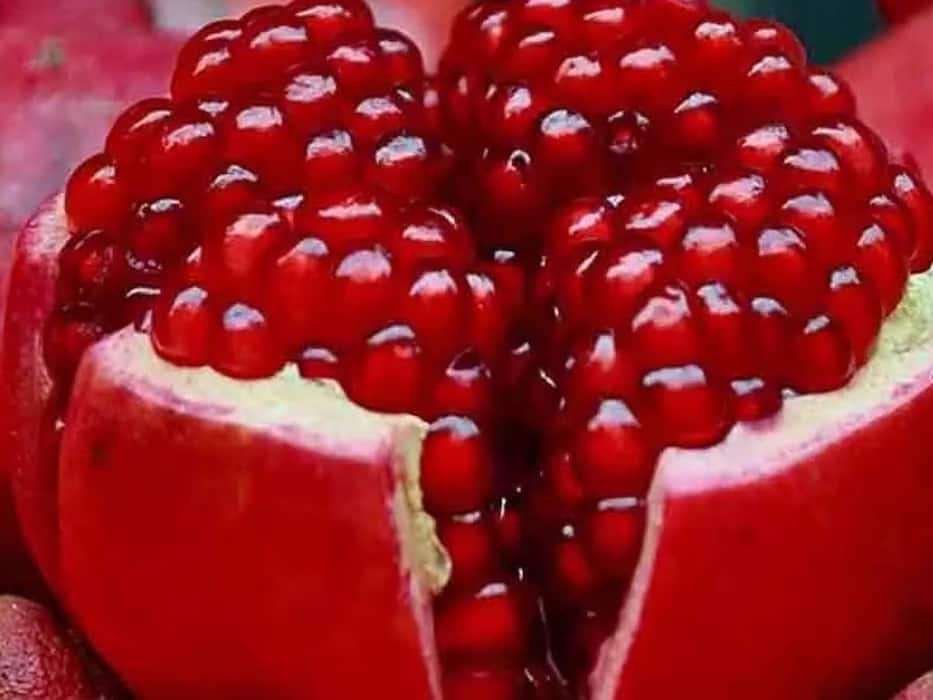 प्लेटलेट्स काउंट बढ़ाने के लिए इन 5 फलों का करें सेवन, डेंगू फीवर के लक्षणों से भी मिलेगा छुटकारा