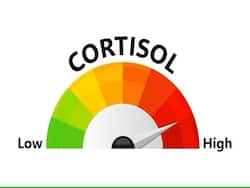Does High Cortisol Only Lead To Weight Gain? Look Out For 4 Other Signs
