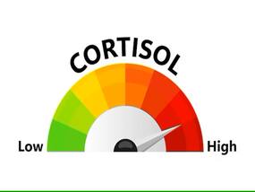 Does High Cortisol Only Lead To Weight Gain? Look Out For 4 Other Signs