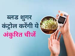 ये 5 अंकुरित चीजें खाने से कंट्रोल होगा नहीं डायबिटीज, ब्लड शुगर कंट्रोल होने के साथ मिलेंगे कई फायदे