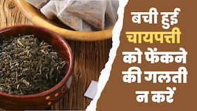 Used Tea Leaves Hacks: बची हुई चाय पत्ती के जबरदस्त फायदे