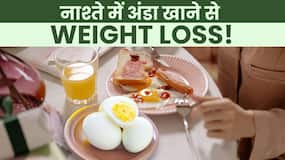 Egg Weight Loss: नाश्ते में अंडे खाएंगे तो तेजी से कम होगा वजन, Watch Video