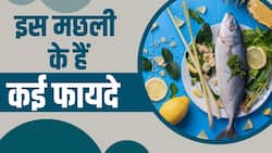 Ghol Fish Benefits: जानें सेहत के लिए कैसे फायदेमंद है ये मछली, Watch Video