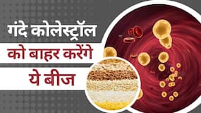 Cholesterol Control Seeds: गंदे कोलेस्ट्रॉल को बाहर फेंक देंगी ये बीजें, जानें कैसे?