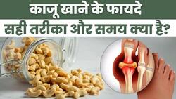 Cashew Benefits: 90% लोग नहीं जानते काजू खाने का सही तरीक़ा, फायदे सुन कर हैरान रह जायेंगे