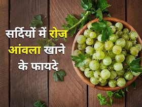 सर्दियों में हर रोज खाएं 1 आंवला, ये 5 बीमारियां हो जाएंगी दूर