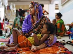 Dengue Fever Outbreak Sweeps Bangladesh, Causing Over 300,000 Cases and 1,549 Deaths