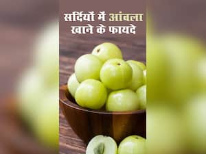 सर्दियों में आंवला खाने के 8 जबरदस्त फायदे