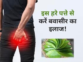 बवासीर की परेशानी को दूर कर सकता है ये हरा पत्ता, जानें किस तरह करना है इस्तेमाल