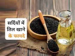 सर्दियों में इस खास तरह से खाएं काले तिल, हड्डियां मजबूत होने के साथ कोलेस्ट्रॉल भी होगा कंट्रोल