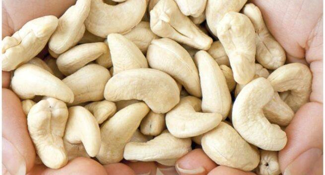 Cashew Nuts Health Benefits For Women: Is Eating Cashew Nuts Good For Weight Loss?