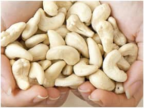 Cashew Nuts Health Benefits For Women: Is Eating Cashew Nuts Good For Weight Loss?