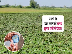 पानी में होने वाले इस फल से ब्लड शुगर हो सकता है कंट्रोल, डाइट में इन 3 तरीकों से करें शामिल