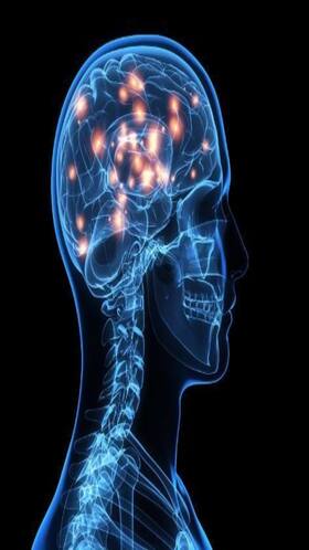 7 Activities That Can Affect The Brain 7 Activities That Can Affect The Brain