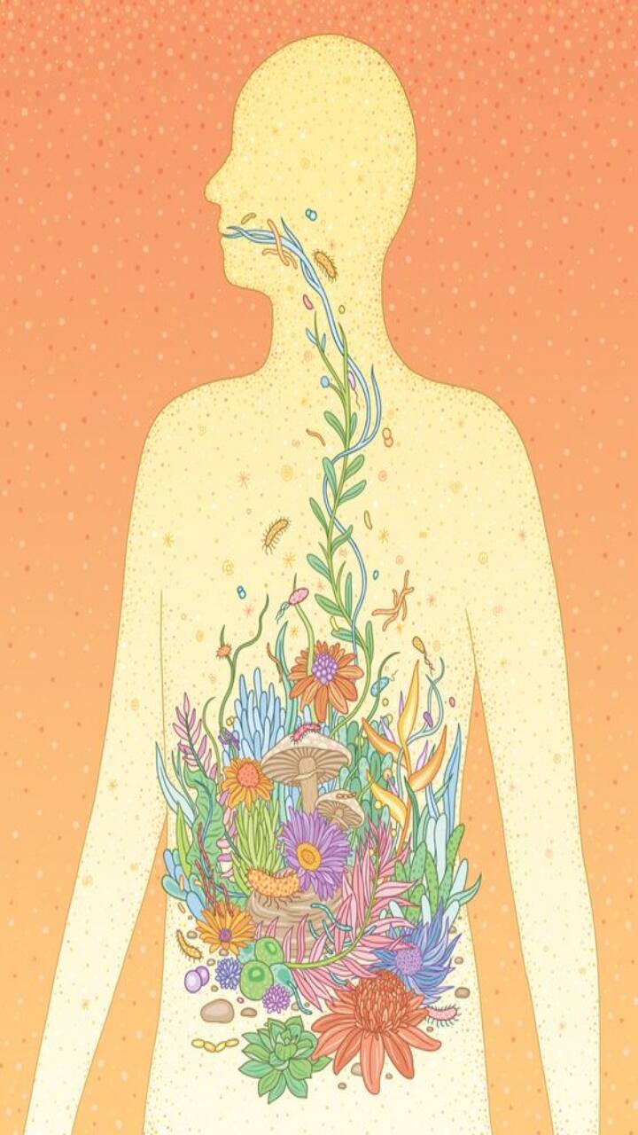 Habits to Avoid to Improve Digestion - Vimarsana News