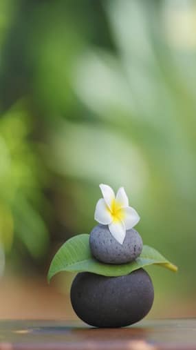 Nurturing Emotional Maturity for a Life of Purpose