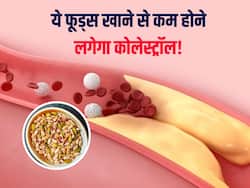 नसों में जमा गंदे कोलेस्ट्रॉल को छानकर बाहर निकाल देंगी ये 5 चीजें, हार्ट अटैक का खतरा भी होगा कम