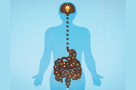 Alzheimer's And The Microbiome: Exploring The Cognitive Connection