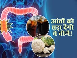 आपकी आंतों को सड़ा देंगी ये 5 खाने वाली चीजें, आज से बना लें दूरी वरना बाद में हो सकता है पछतावा
