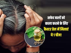 अरंडी के तेल में इस 1 चीज को मिलाकर लगाने से सफेद बाल हो जाएंगे काले, जानिए तरीका और अन्य फायदे