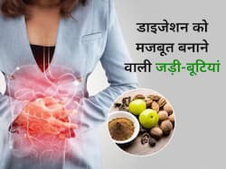 डाइजेशन को मजबूत बनाती हैं ये 5 जड़ी-बूटियां, नियमित सेवन से पेट से जुड़े रोग होंगे दूर