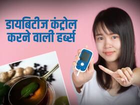 दिवाली में ब्लड शुगर कंट्रोल करेंगी ये 3 हरी पत्तियां, जान लें सेवन का सही तरीका और खुलकर लें त्योहार का मज़ा