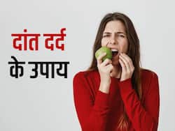 दांत में हो भयंकर दर्द तो इस पेड़ की पत्तियों संग उबालें ये 2 चीजें, इस तरह करें इस्तेमाल दर्द हो जाएगा तुरंत ठीक