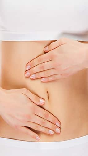 Harnessing the Power of Gut Microflora: Embracing Habits for Better Digestion