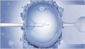 Lifestyle To Fertility: Understanding The Consequences Of Unhealthy Habits On IVF Requirements Lifestyle To Fertility: Understanding The Consequences Of Unhealthy Habits On IVF Requirements