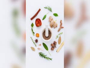 9 Immune-Boosting Herbs for Respiratory Health