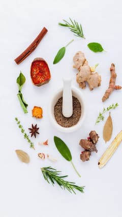 9 Immune-Boosting Herbs for Respiratory Health