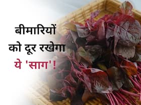सेहत के लिए वरदान है सर्दियों में मिलने वाला ये साग, डायबिटीज से लेकर वेट लॉस तक में है फायदेमंद