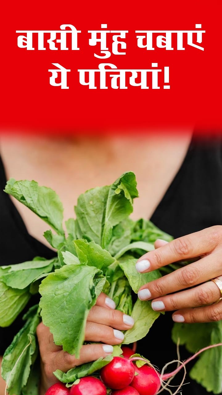 सुबह बासी मुंह चबाएं ये 8 पत्तियां, बीमारियां रहेंगी कोसों दूर