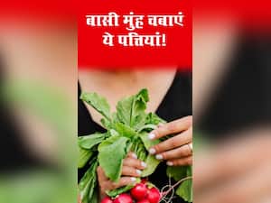 सुबह बासी मुंह चबाएं ये 8 पत्तियां, बीमारियां रहेंगी कोसों दूर