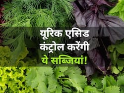 यूरिक एसिड के क्रिस्टल को चूर-चूर कर बाहर निकाल देंगी ये 5 पत्तेदार सब्जियां, किडनी स्टोन से भी होगा बचाव