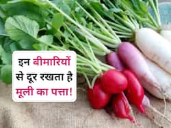 सर्दियों में इस तरह से खाएं मूली के पत्ते, यूरिक एसिड से लेकर ये 5 बीमारियां होंगी दूर