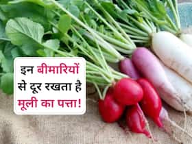 सर्दियों में इस तरह से खाएं मूली के पत्ते, यूरिक एसिड से लेकर ये 5 बीमारियां होंगी दूर