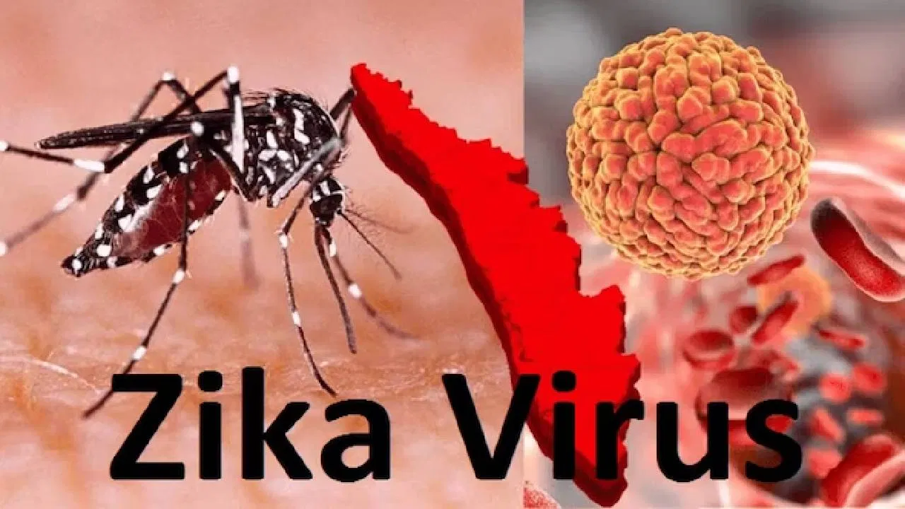 Zika Virus Outbreak In Pune Pmc Intensifies Surveillance As 6 Fresh Suspected Cases Surface 5001