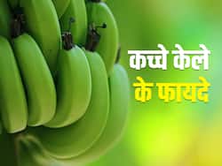 डायबिटीज के साथ इन 5 बीमारियों का पक्का इलाज है ये हरा फल, रोज खाने से मिलेगा फायदा