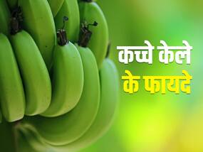 डायबिटीज के साथ इन 5 बीमारियों का पक्का इलाज है ये हरा फल, रोज खाने से मिलेगा फायदा