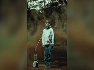 Pollution And Mental Health: Understanding The Connection