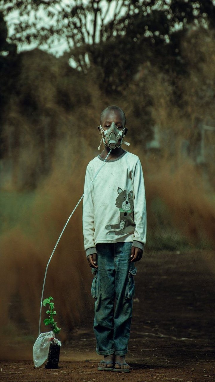 Pollution And Mental Health: Understanding The Connection
