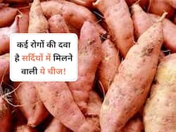 शरीर में भर जाएगी ताकत और इम्यूनिटी होगी मजबूत, अगर सर्दियों में खाएंगे ये एक चीज