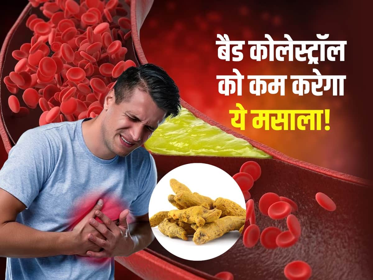 Turmeric For Cholesterol धमनियों से बैड कोलेस्ट्रॉल को छानकर बाहर कर