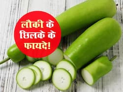 केवल लौकी ही नहीं इसके छिलके भी हैं बेहद फायदेमंद, फेंकने से पहले 100 बार सोचें