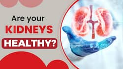 Kidney Disease: 10 Signs and Symptoms You Should Know