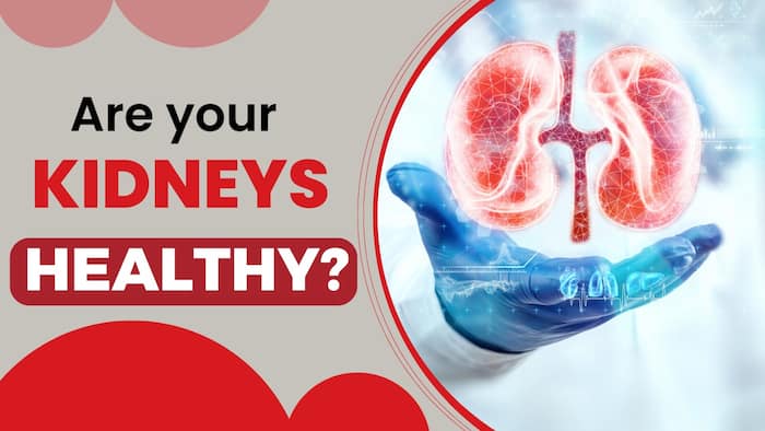 Kidney Disease: 10 Signs and Symptoms You Should Know