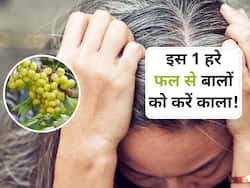 इस 1 हरे फल से बना हेयर डाई कुछ ही दिनों में सफेद बालों कर सकता है काला, उम्रभर रहेंगे घने और मजबूत बाल